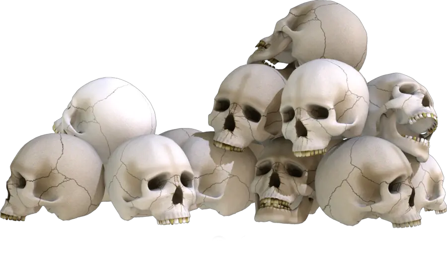 Skull Patch Png