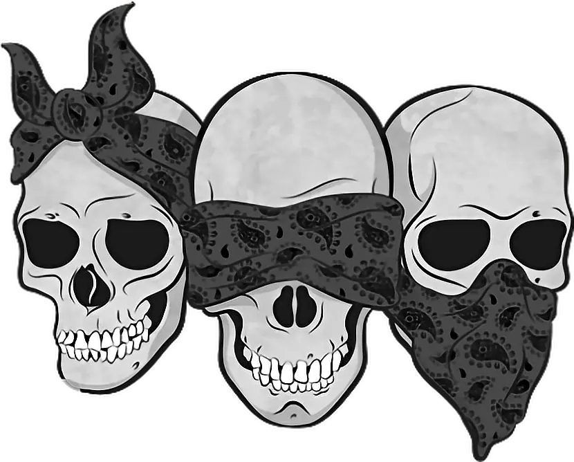 Skull Flowers Png