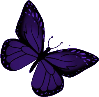 Butterfly Indigo Gif Butterfly Indigobutterfly Transparent Purple Butterfly Gif Png Butterfly Gif Transparent