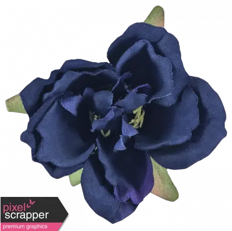 Cozy Kitchen Navy Blue Silk Flower Graphic By Violet Navy Blue Silk Flowers Png Blue Flowers Transparent