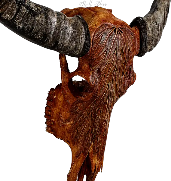 Animal Skulls Cattle Horn Buffalo Skull Png Download 600 Skull Cow Skull Png