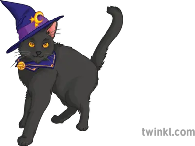 Witch Black Cat Halloween Spooky Cartoon Magic Black Cat Png Halloween Cat Png