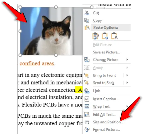 How To Resize An Image In Word Officebeginner Photo Caption Png Word Remove Paste Options Icon