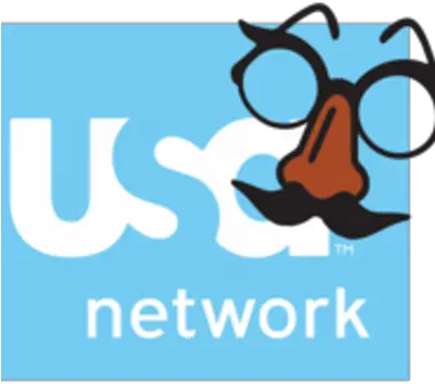 Fake Usa Network Cisco Networking Academy Png Usa Network Logo