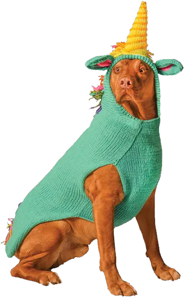 Chilly Dog Sweaters Handknit Pet Products Halloween Costumes For Big Dogs Png Pink Dog Logo