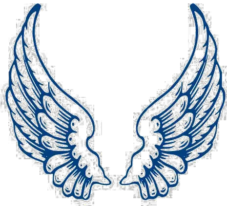 Angel Wings Free Png Image Vector Angel Wings Png Angel Wings Png