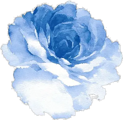 21 Blue Rose Clipart Tumblr Cartoon Free Clip Art Stock Png