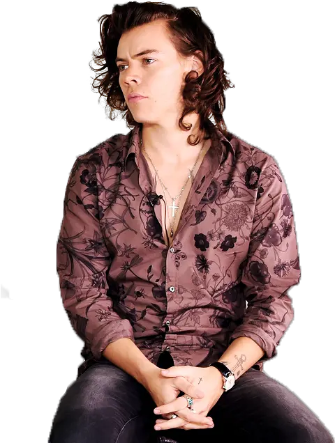 Harry Styles Png Tumblr 1 Image Harry Styles Png Harry Styles Png