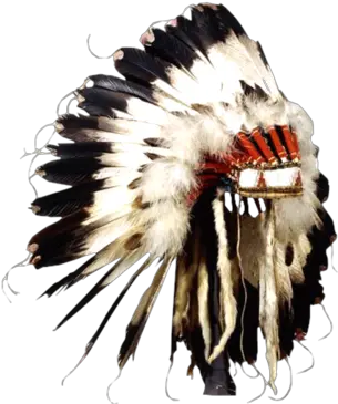 Native American Headdress Feather Bonnet Of Yellow Calf Png Indian Headdress Png