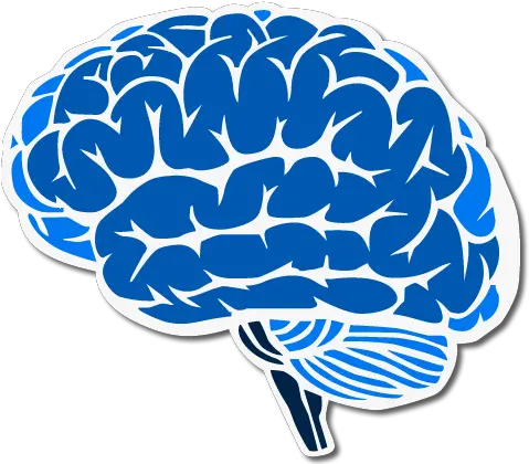 Download Brain Blue Brain Transparent Background Png Brain Transparent Background