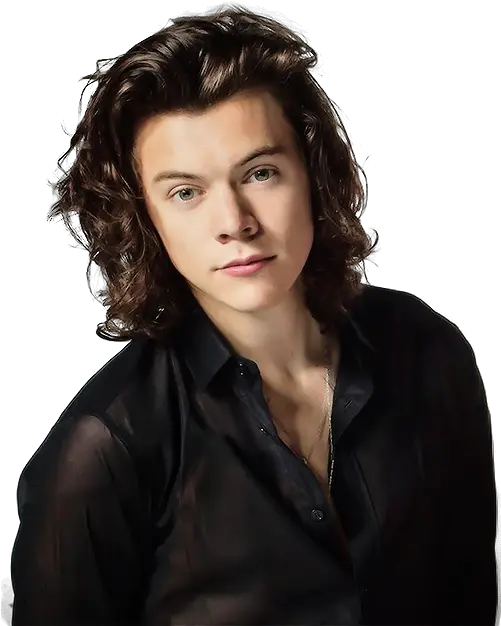 Harry Styles Png Photo Harry Styles Back Pack Harry Styles Png
