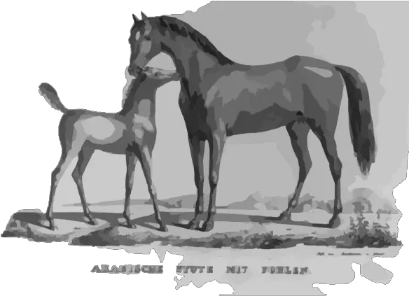 Arabische Stute Mit Fohlen Png Svg Clip Art For Web Animal Figure Mit Icon