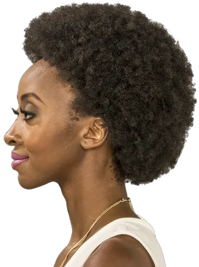 Trump Hair Png Transparent Afro Hair Png Trump Hair Png