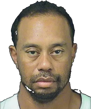 Tiger Woods Drunk Driving Tiger Woods Arrested Png Tiger Woods Png