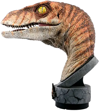 Male Raptor Bust Jurassic Park Lost World Raptor Bust Png Velociraptor Png