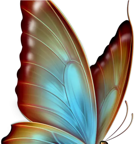 Rainbow Butterfly Clipart White Background Butterfly Butterflies Png Images Download Rainbow Clipart Transparent Background