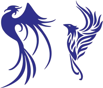 80 Free Phoenix U0026 Bird Illustrations Bird Phoenix Png Phoenix Down Icon