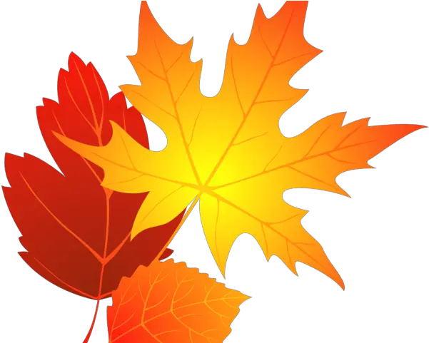 Download Hd Leaves Clipart Oval Leaf Fall Leaves Png Autumn Leaves Png Fall Leaves Png