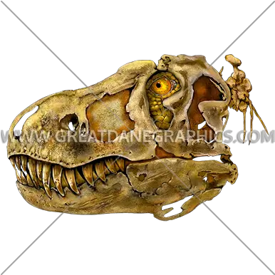 T Rex Skull Production Ready Artwork For Tshirt Printing Python Png Dinosaur Skull Png