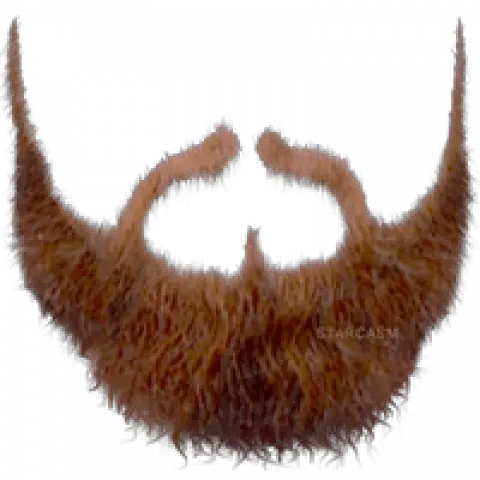 Pirate Beard Png Transparent Beardpng Images Pluspng Haircut Png Hair Png Transparent