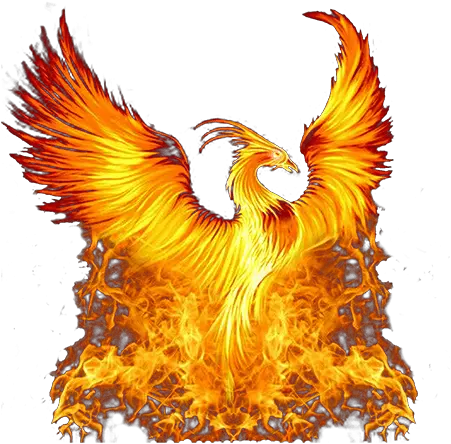 The Golden Phoenix Chess Club Chesscom Transparent Phoenix Bird Png Phoenix Png