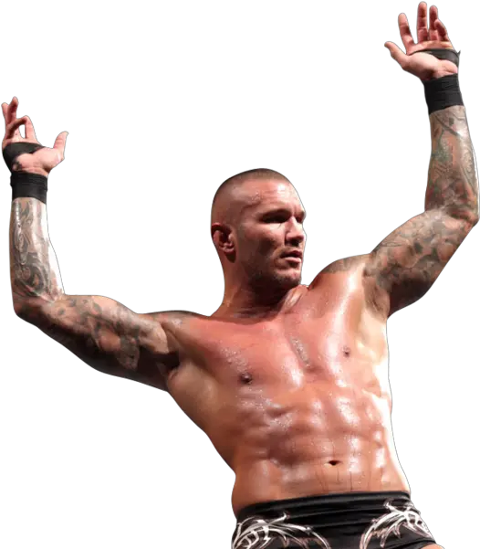 Randy Orton Randy Orton Rko Png Randy Orton Png