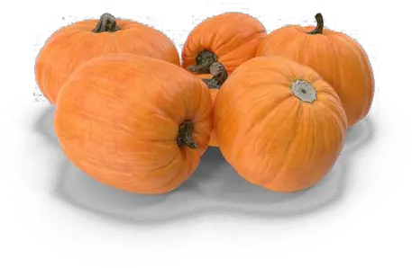 Pumpkin Patch Png Transparent Hd Photo Mart Gourd Calabaza Png
