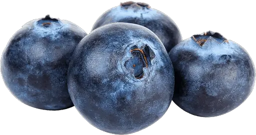 Blueberries Storage Controlled Atmosphere Ultra Low Png Image Yaban Mersini Png Blueberries Icon