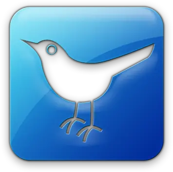 Download Twitter Bird Logo Icon Blue Jelly Social Media Twitter Png Blue Bird Icon