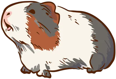 Side Guinea Pig Illustration Transparent Png U0026 Svg Vector Guinea Pig Guinea Pig Icon