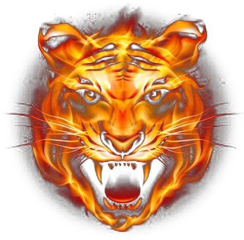 Download Tiger Fire Fierce Png Free Clipart Tiger Face Png Fierce Icon