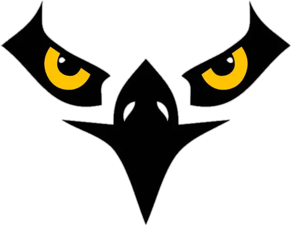 Basics Of Stock Market Eagle Eyes Clipart Png Eagle Eye Icon