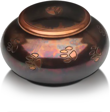 Option 1 Premium U2014 Life Tails Pet Cremation Serveware Png Urn Icon