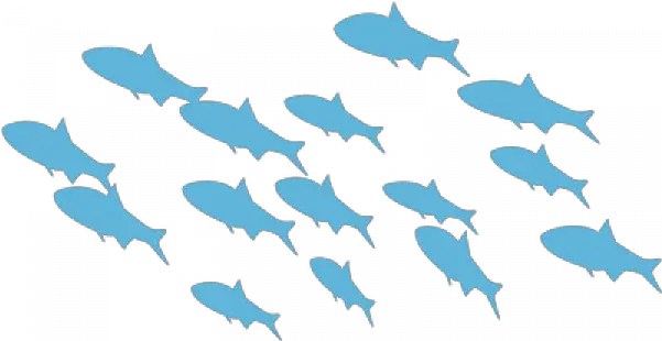 Fish School Png Transparent Images School Of Fish Vector School Of Fish Png