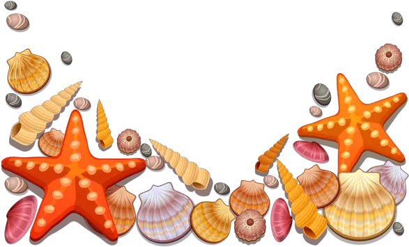 This Png Image Sea Shells Decor Png Vector Clipart Is Sea Shells Clipart Png Decor Png