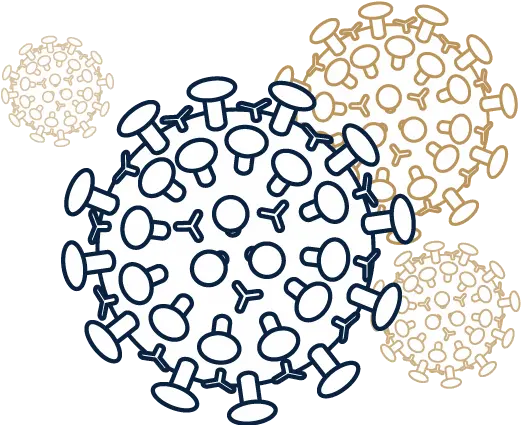 About Covid 19 In Lyon County Ks Virus Drawing Png Lyon Icon