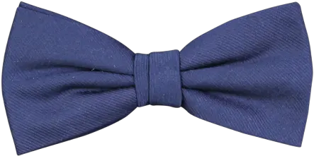 Bow Tie Christensen Man Amanda Christensen Bow Tie Blue Png Bow Tie Transparent