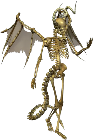 Skeleton Png Human Skeleton Transparent Free Transparent Devil Skeleton Spooky Skeleton Icon