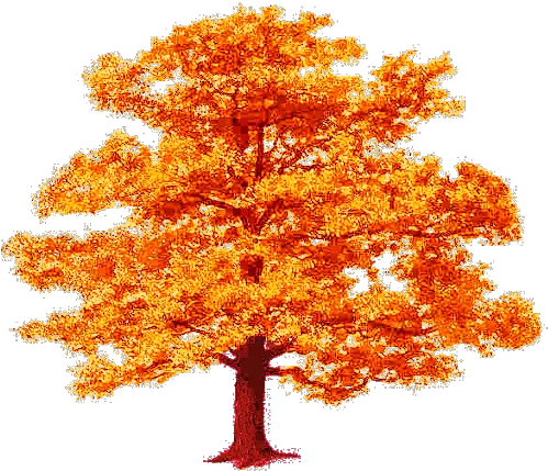 Photo Tree Fall 1 Autumn Album Jossie Fotkicom Strong Is Your Faith Png Fall Trees Png