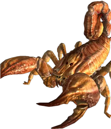 Bark Scorpion Bark Scorpion Png Scorpion Transparent Background