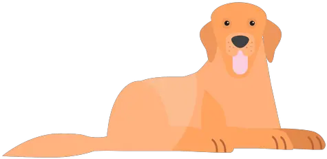 Dog Puppy Tongue Tail Ear Flat Transparent Png U0026 Svg Cão Filhote Desenho Png Golden Retriever Transparent Background