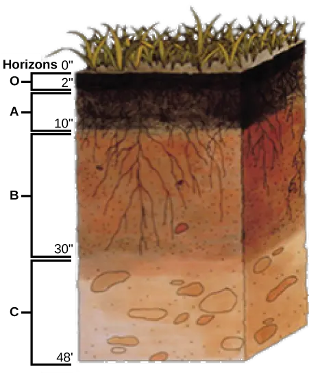 312c Physical Properties Of Soil Biology Libretexts Meaning Of Soil Profile Png Soil Png