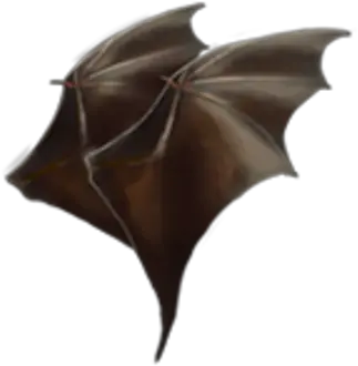 Bat Wing Bat Wings Png Bat Wings Png