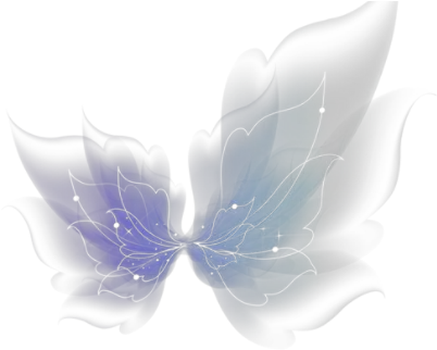 Download Realistic Fairy Wings Png Editing Effects Macro Photography Fairy Wings Png