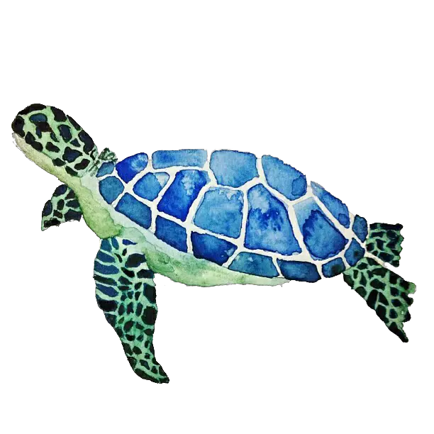 Cute Turtle Png Free Png Turtles Cute Turtle Png