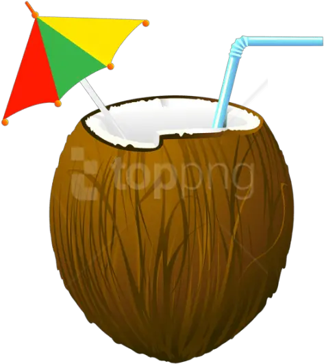 Free Png Download Coconut Cocktail Coconut Cocktail Transparent Coconut Transparent Background