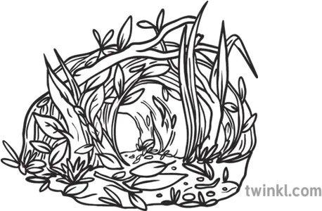 Hedgehog Nest Animal Den Nature Habitat Hedgehog Nest Clipart Black And White Png Animal Den Icon