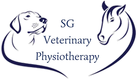 Sg Veterinary Physiotherapy Labrador Retriever Png Dog Head Png