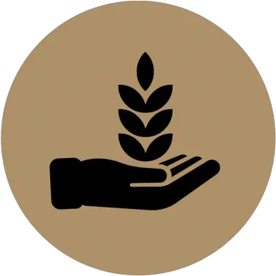 Nature Is Unique Frankincense Oil And Other Frankincense Clip Art Png Natural Ingredients Icon