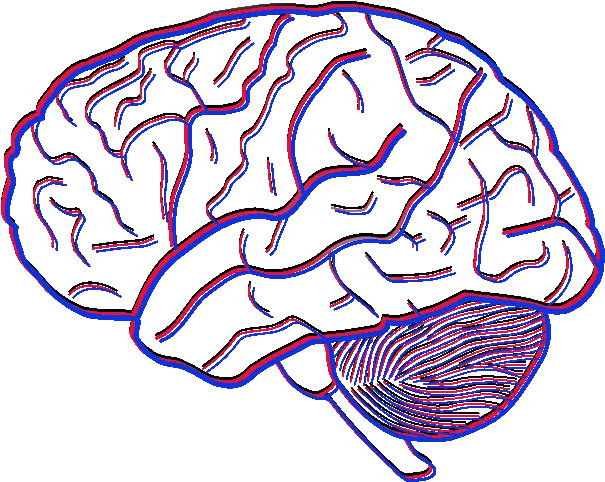 Research U2014 Social Robots Brain Images Pencil Drawing Png Brain Outline Png